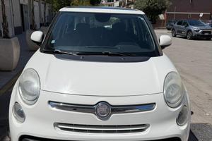 500L Panoramic