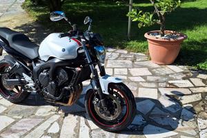 Yamaha FZ6 - 2008