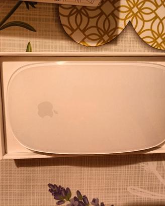 Apple magic mouse