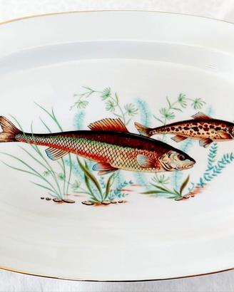 Servizio piatti in porcellana fine Richard Ginori.