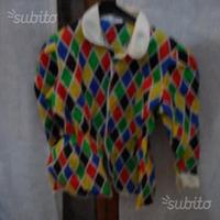 Maschera di arlecchino