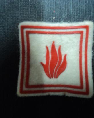 distintivo scout agesci vintage