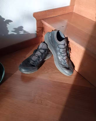 Salomon pulsar sg