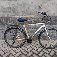 bicicletta da uomo frera.