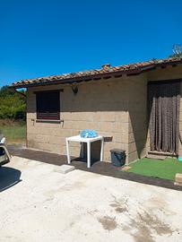 Casa comune Acquapendente