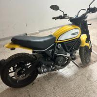 Ducati Scrambler Yellow Icon 800