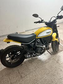 Ducati Scrambler Yellow Icon 800