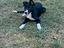 Immagine 4