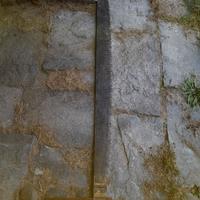 SEGA DA TAGLIALEGNA A DUE MANI