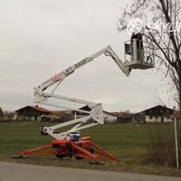 Piattaforma aerea ragno EasyLift RA15