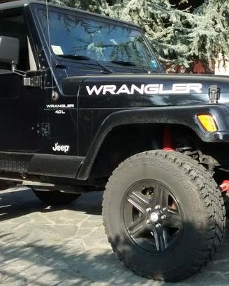 Jeep Wrangler TJ 4.0 cat Sport