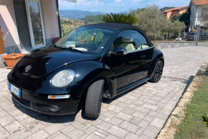 New beetle