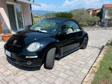 New beetle