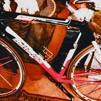 Bicicletta corsa Scott Bottecchia Pinarello bici