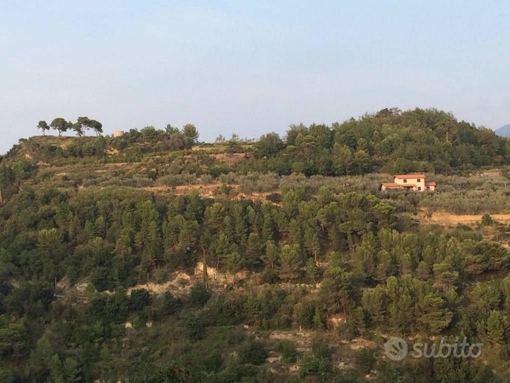 Terreno di 15111 m² a Camporosso - Vista 3
