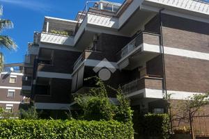 3 LOCALI A ALBANO LAZIALE