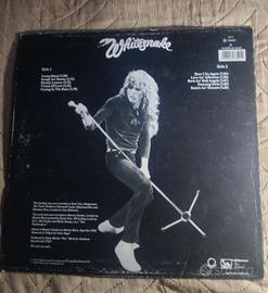 Disco vinile
