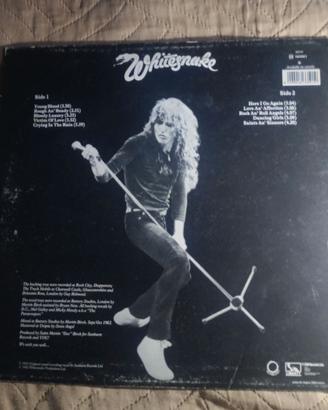 Disco vinile