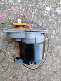 Robot Dolphin motoriduttore 