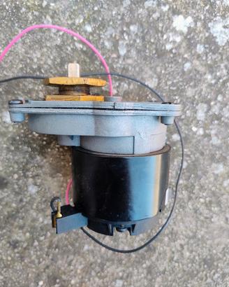 Robot Dolphin motoriduttore 