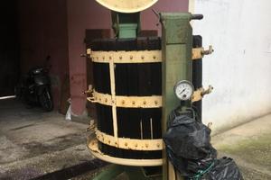 Sgranattice per uva + torchio elettrico