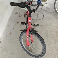 Mountain bike da 20 pollici
