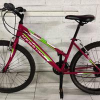 Mountainbike