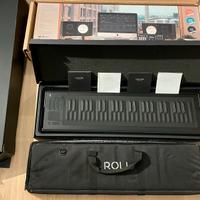 ROLI Seaboard Rise 49 - Sintetizzatore con Imballa