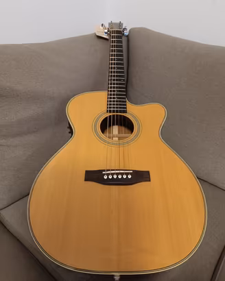 Acustica Elettrificata Liuteria Manne AS 2006
