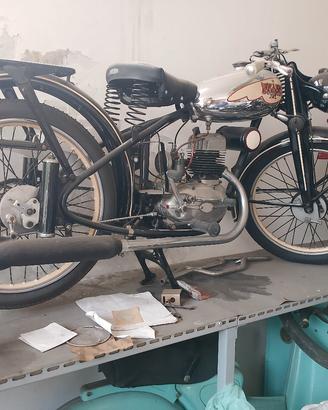 Bianchi 