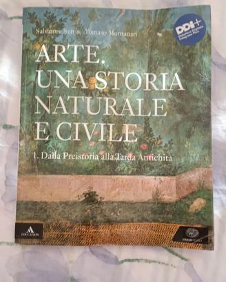Libro scolastico ARTE UNA STORIA NATURALE E CIVILE