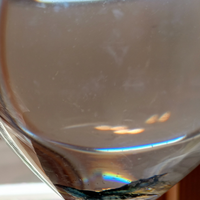 Neocaridine Davidi blue dream