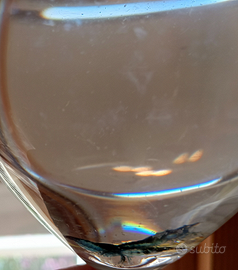 Neocaridine Davidi blue dream