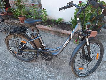 ebike