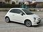 Immagine 2