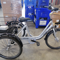 Bicicletta elettrica tre ruote