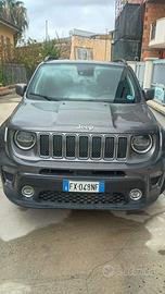 Renegade1.6 limited