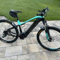 Bianchi ebike bici elettrica