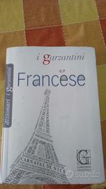 dizionario francese 