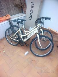 Coppia bici