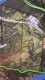 Terreno Agricolo di 40 Ettari sulla SS 658 Potenza