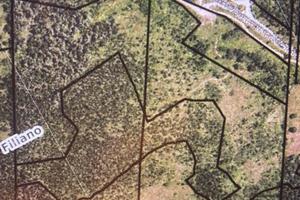 Terreno Agricolo di 40 Ettari sulla SS 658 Potenza