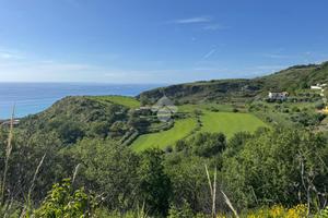 TER. AGRICOLO A SAN LUCIDO