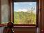 Immagine 29