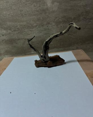 Legno di mangrovia per acquario