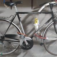 city bike tg L