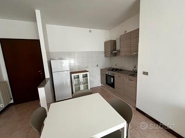 Contr transitorio 2 locali box cantina giardino