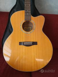 Chitarra Farida J-52CN