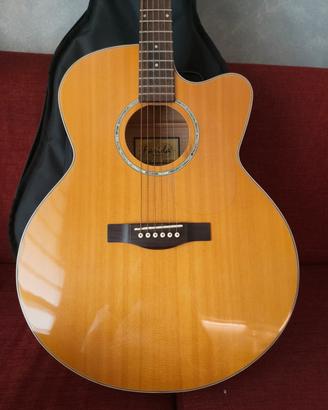 Chitarra Farida J-52CN