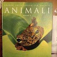 Libri/Fumetti per ragazzi/adulti (tutte le età) 